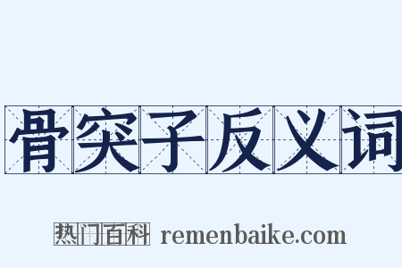 骨突子反义词是什么意思的图片